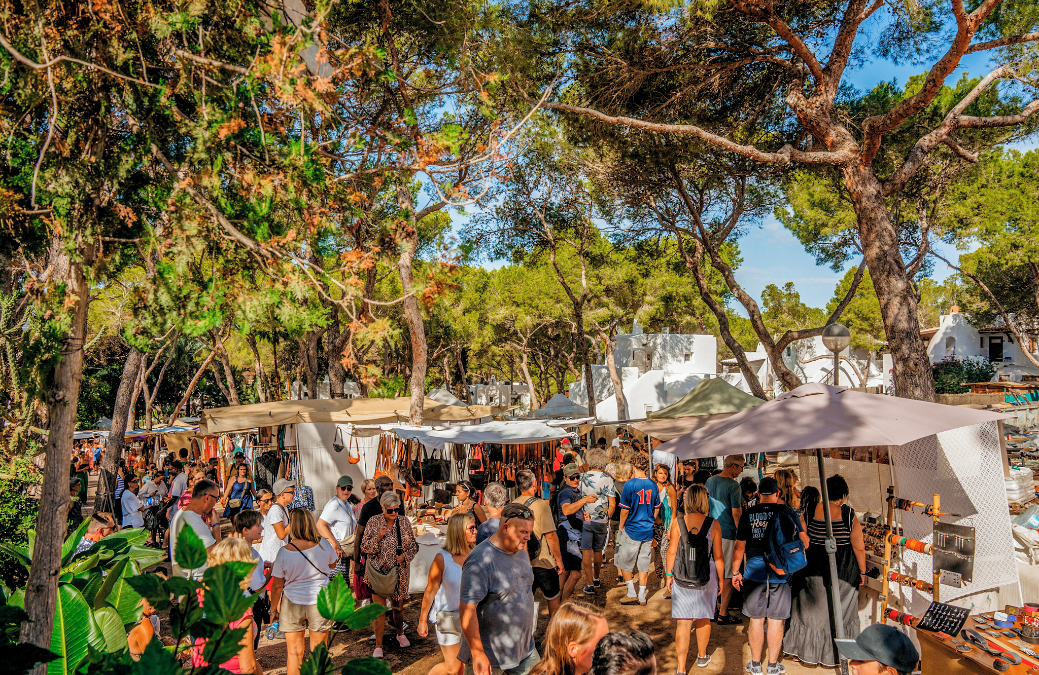 //www.jet2holidays.com/-/media/assets/product images - custom overview groups/ibz/fergus punta arabi/ibz_88315_fergus_style_punta_arabi_1124_09_689x448.jpg